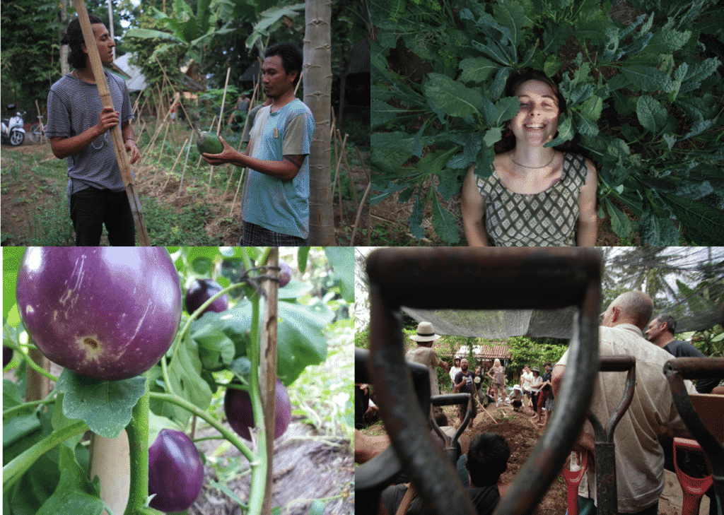 permaculture bali